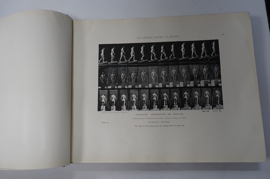 Muybridge, Eadweard - The Human Figure in Motion: an electro-photographic investigation of consecutive phases of muscular actions. frontis and approx. 250pp. of photo. illus. (with multi images per page); publisher's gil